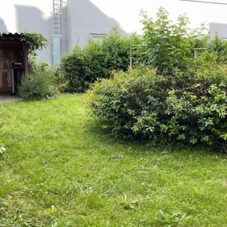 One 3 - Rebuli In 3 * Leitendorf